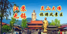 日本鸡鸡的屁股网站江苏无锡灵山大佛旅游风景区