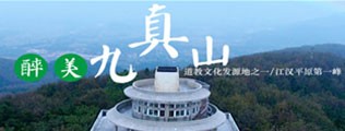 有屄洞视频区