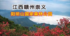 操女人的BB网站
